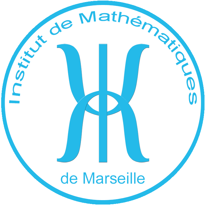 INSTITUT DE MATHÉMATIQUES DE MARSEILLE